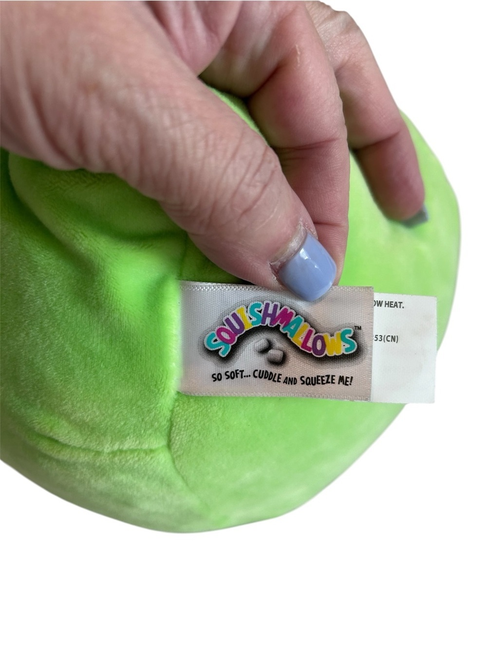 Squishmallows Danny the Dinosaur - Picture 4 of 4